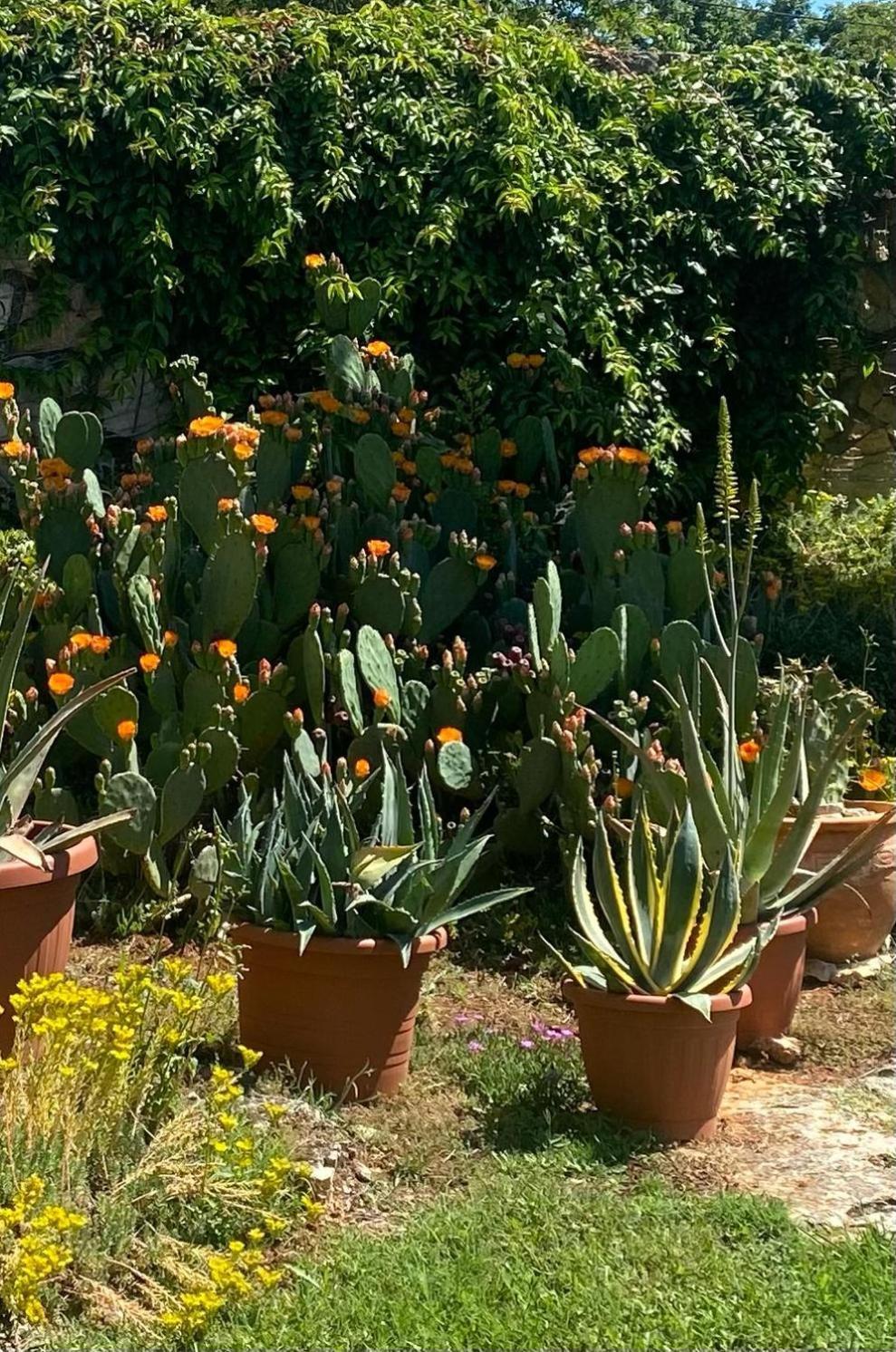Domos Selene Casa Delle Farfalle Tinjan Exterior foto